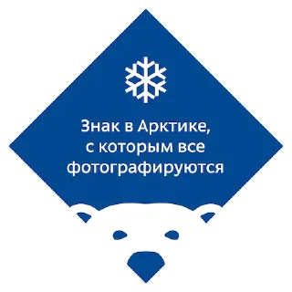 🐻‍❄️