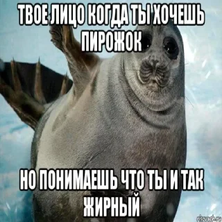 🦭