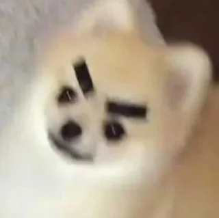 🤩