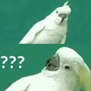 ❔