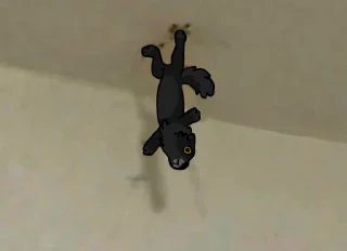 🦎