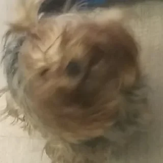 🙂