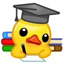 📚