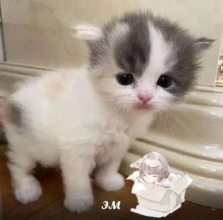 😐