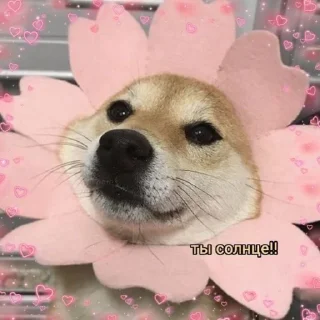 🌞