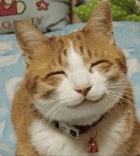 😊