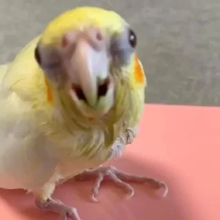 🥴