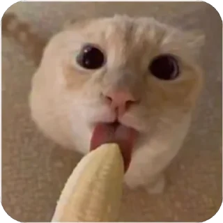 👅