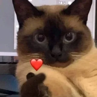 ❤️