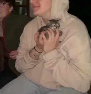 🐈