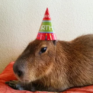 🎂