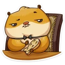 😼