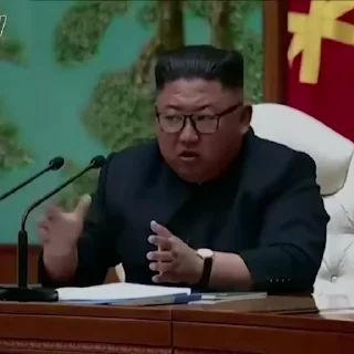 🎤