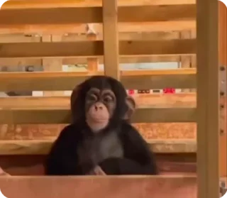 😐