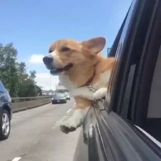 🚘