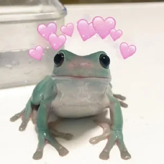 ❤️