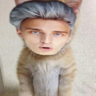 🙈