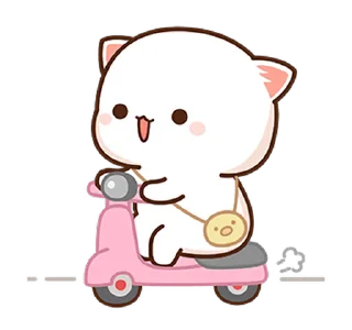 🛵