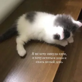 😭
