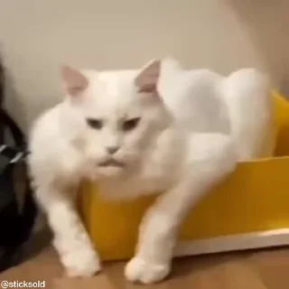🤬