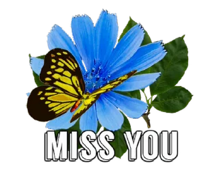 🦋