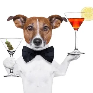 🍸