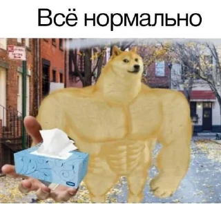 😭