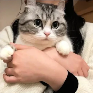 🤗