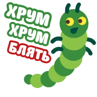 🐛