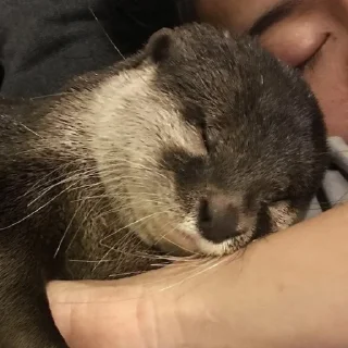 😴