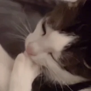 😣