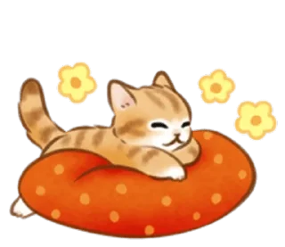 🐱