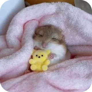 🧸