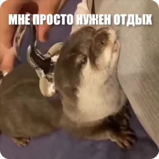 🤗