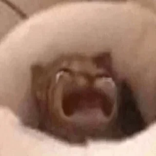 😢