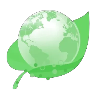 🌍
