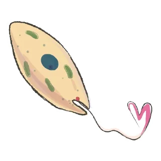 😘