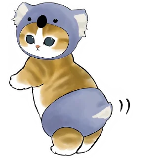 🐨