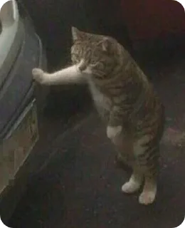 😔