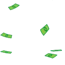 💸