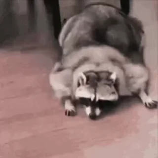 🫠