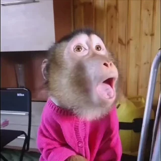 🌟