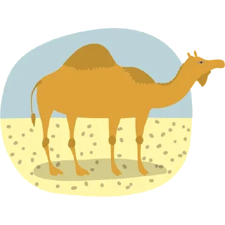 🐪