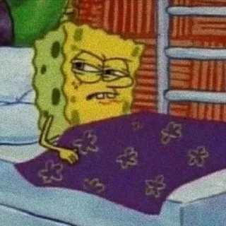 🧽