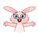 🐇