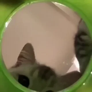 😦