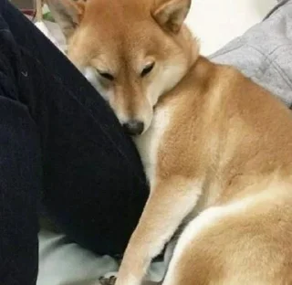 💓