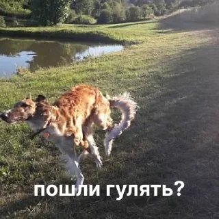 🚶