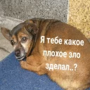 😭