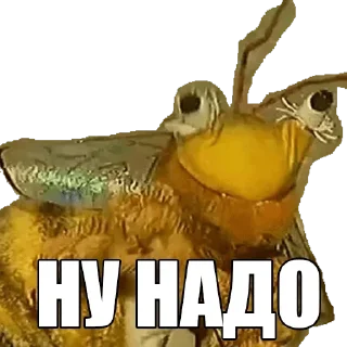 🐝